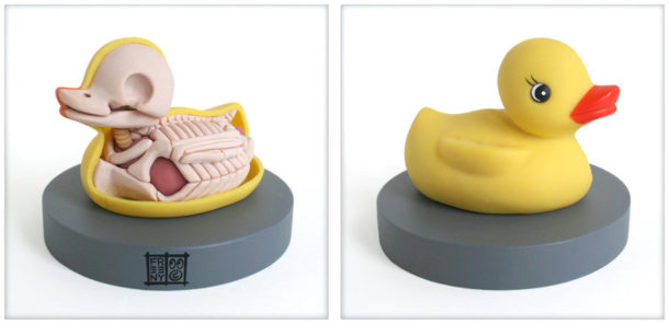 Rubbe-Ducky-Canard-en-plastique-Anatomie-Jason-Freeny-Sculpture-Geekorner