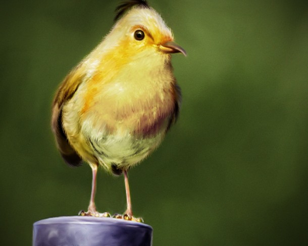 natural_angrybird_yellow_bird_by_mohamedraoof-geekorner