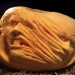 Citrouilles Halloween - Art Geek Horreur - Ray Villafane- 035 thumbnail